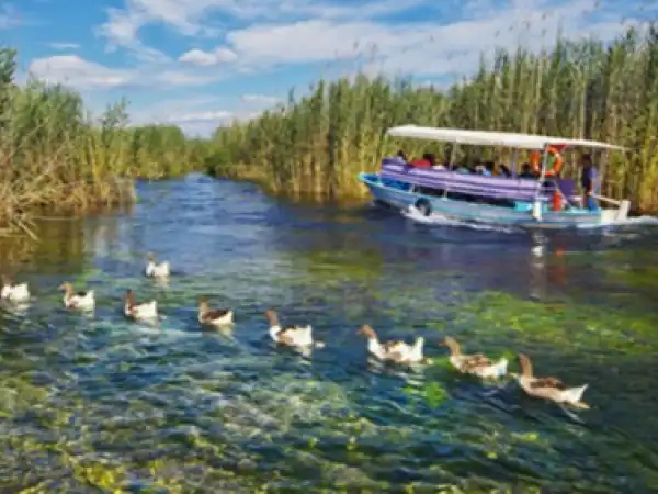 Gökova Bölgesi Kiralık Villa 