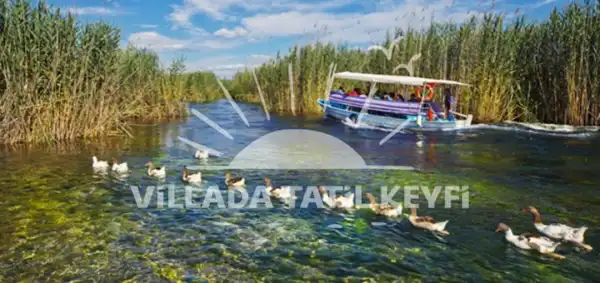 Gökova Bölgesi Kiralık Villa 